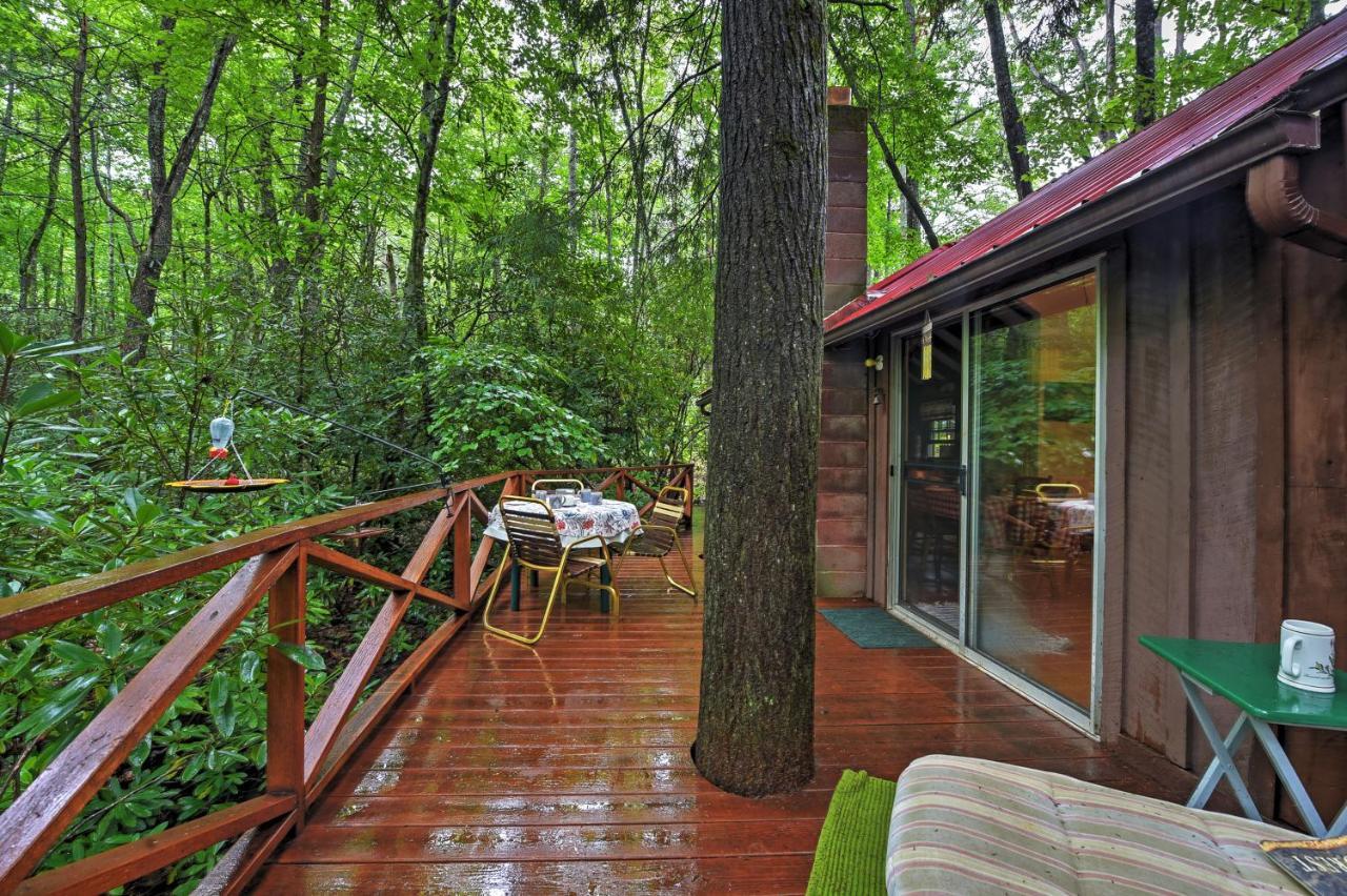 Serene Creekside Cottage Near Asheville Fire Pit Candler المظهر الخارجي الصورة