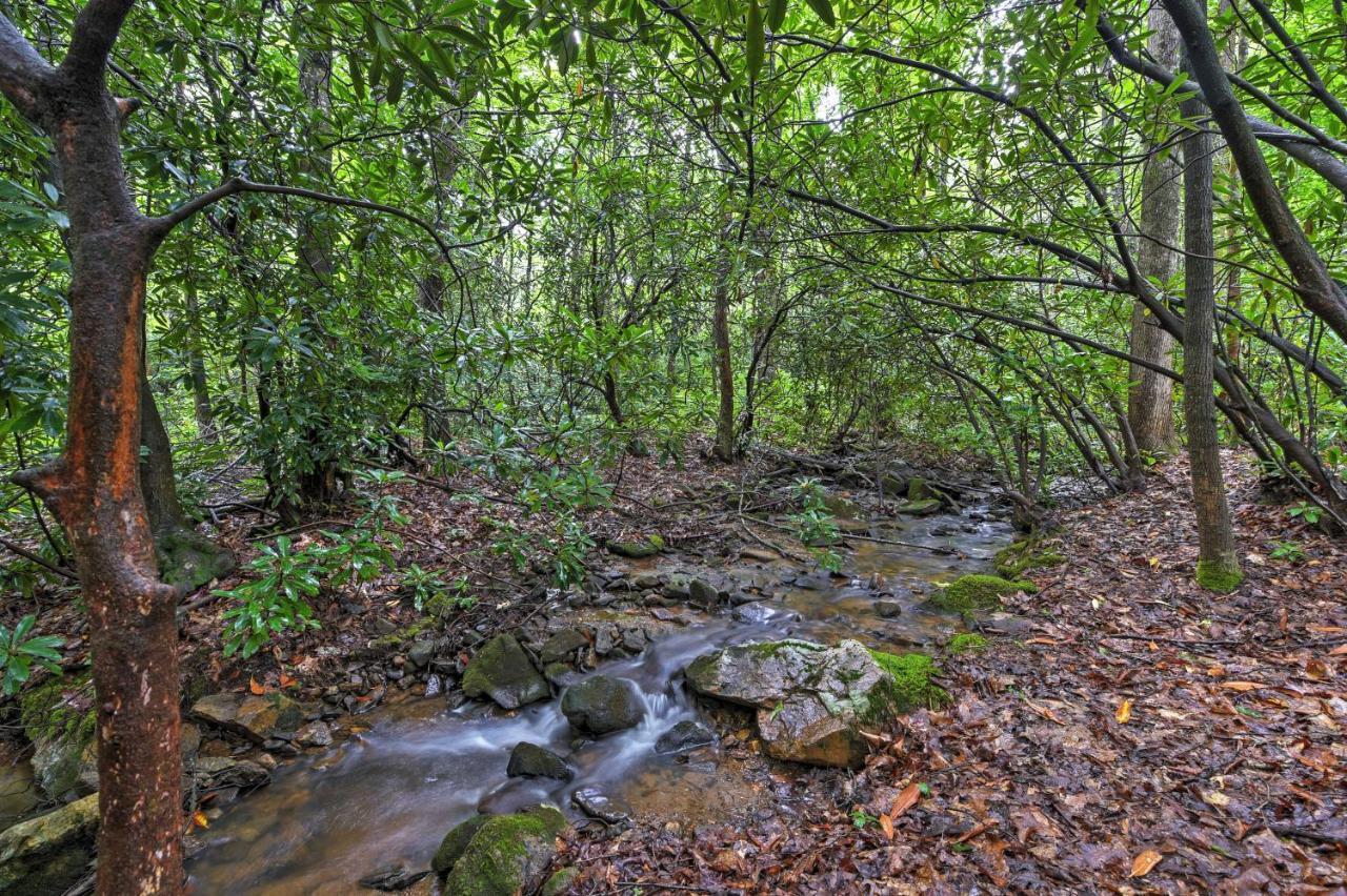 Serene Creekside Cottage Near Asheville Fire Pit Candler المظهر الخارجي الصورة
